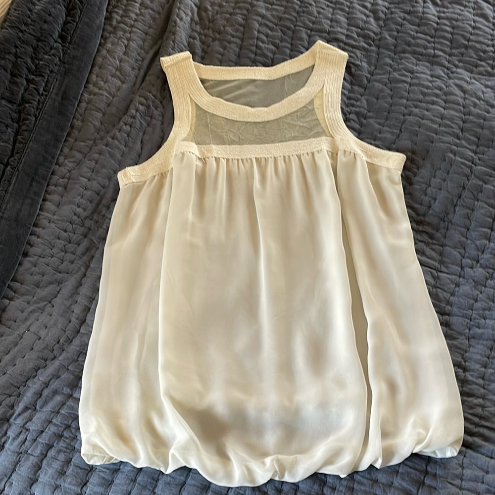 Sophie Max Shear Silk Top * Sz L * Nearly New
